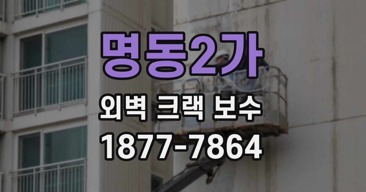 명동2가 외벽 크랙 보수