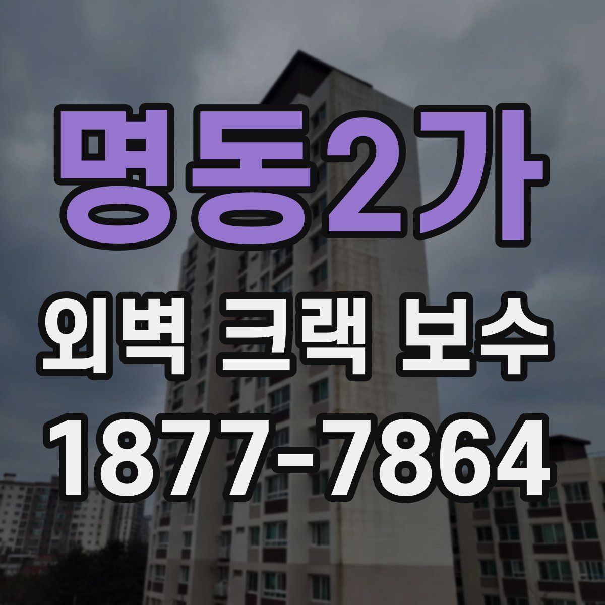 명동2가 외벽 크랙 보수