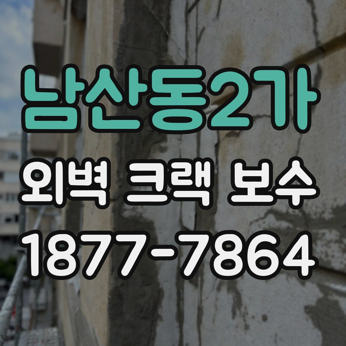 남산동2가 외벽 크랙 보수