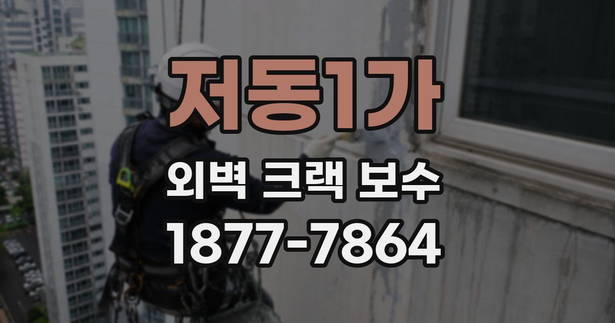 저동1가 외벽 크랙 보수