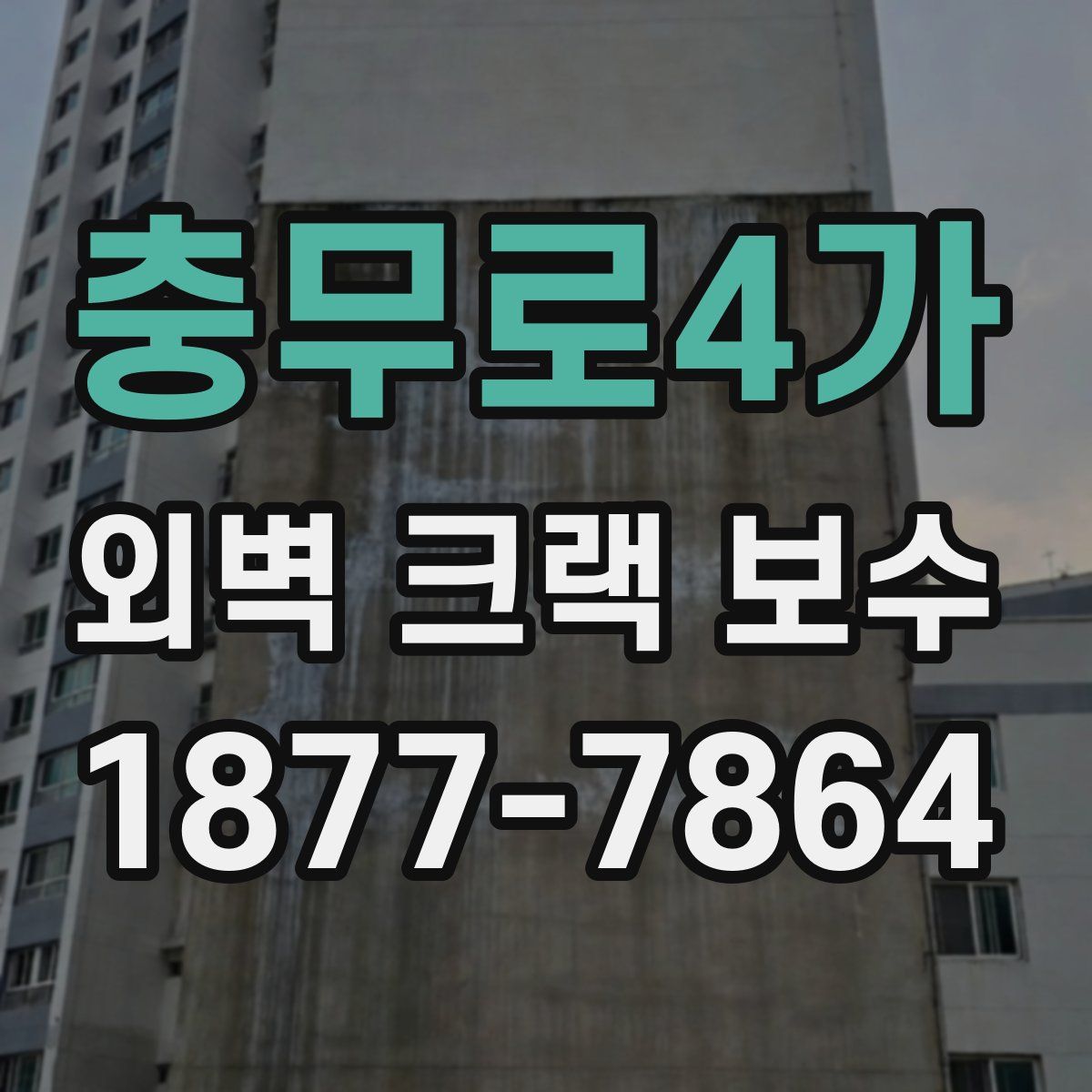 충무로4가 외벽 크랙 보수