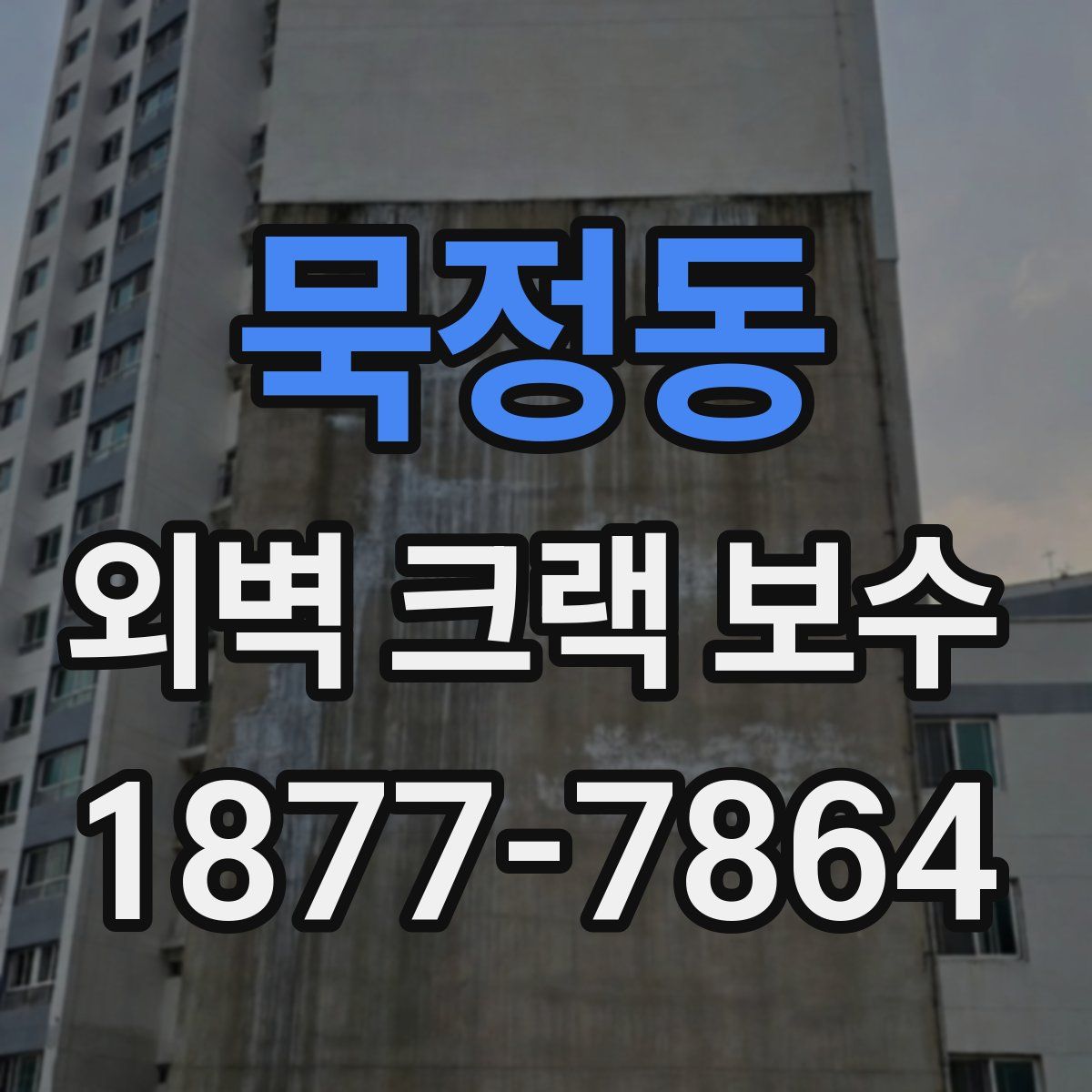 묵정동 외벽 크랙 보수