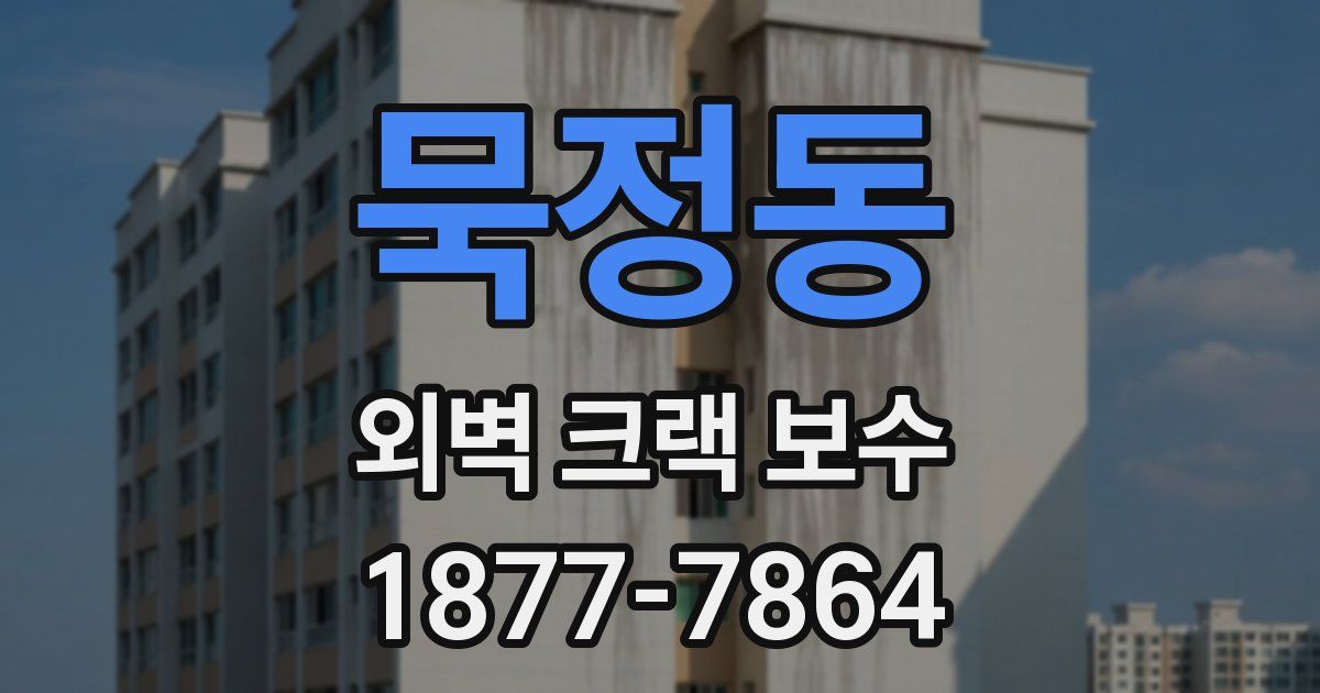 묵정동 외벽 크랙 보수