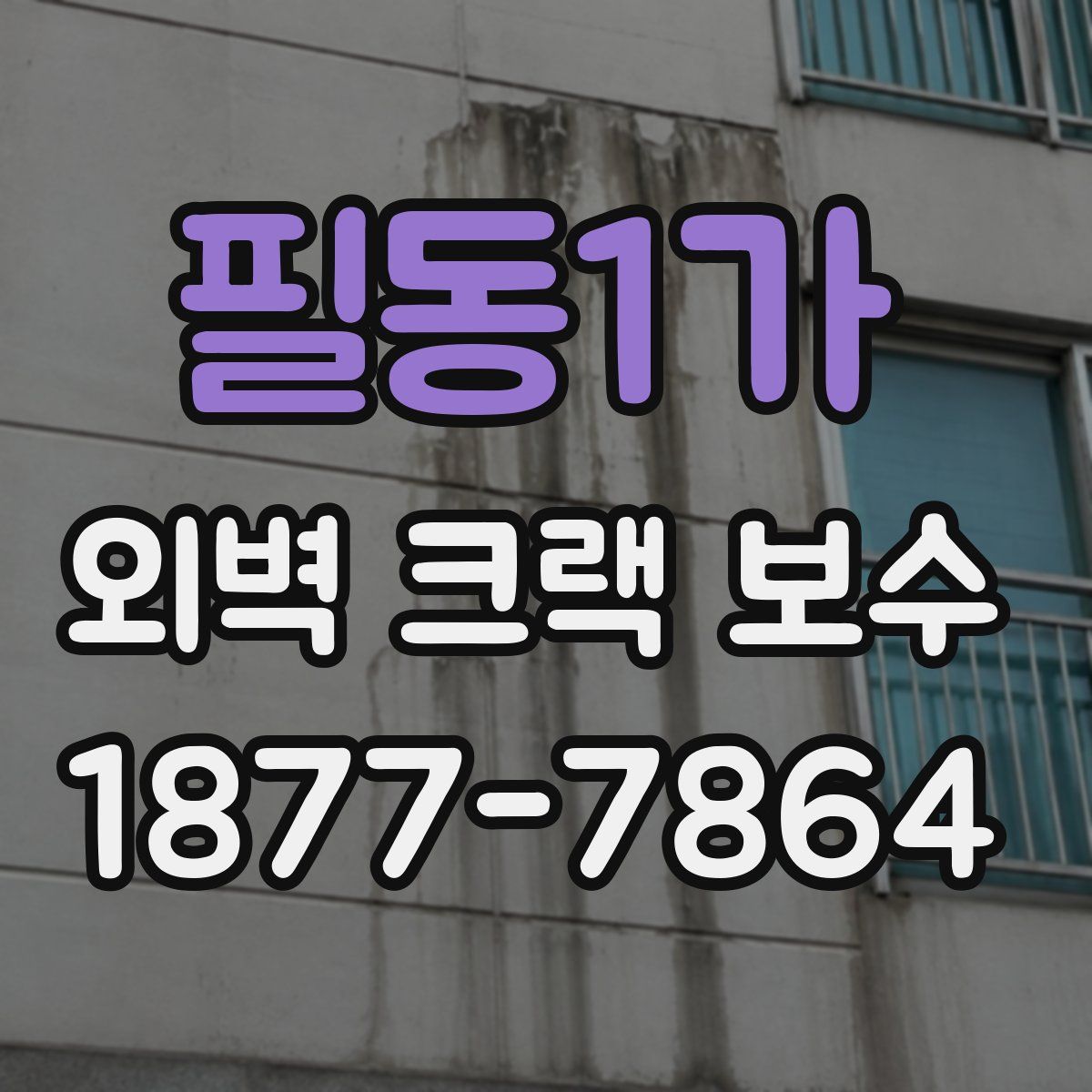 필동1가 외벽 크랙 보수