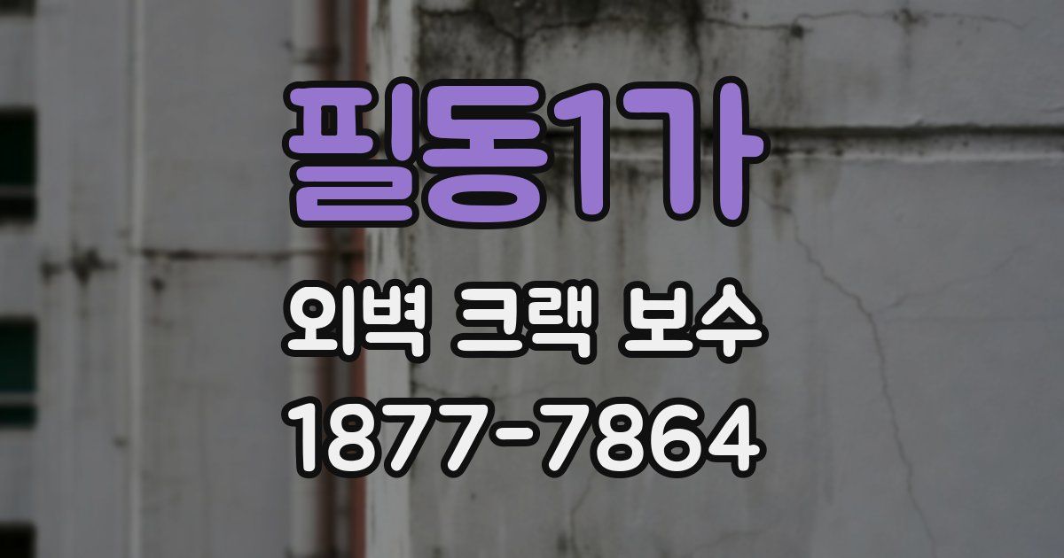 필동1가 외벽 크랙 보수