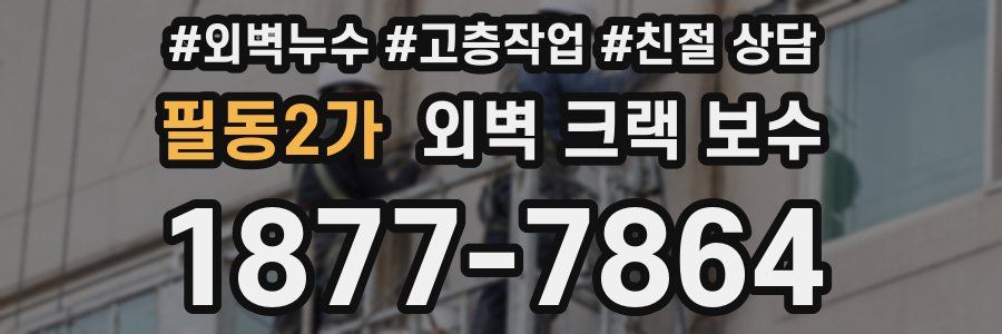 필동2가 외벽 크랙 보수