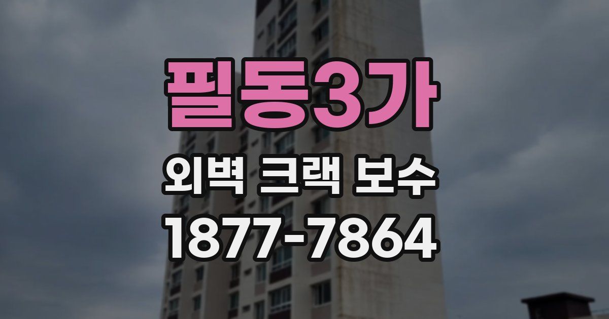 필동3가 외벽 크랙 보수
