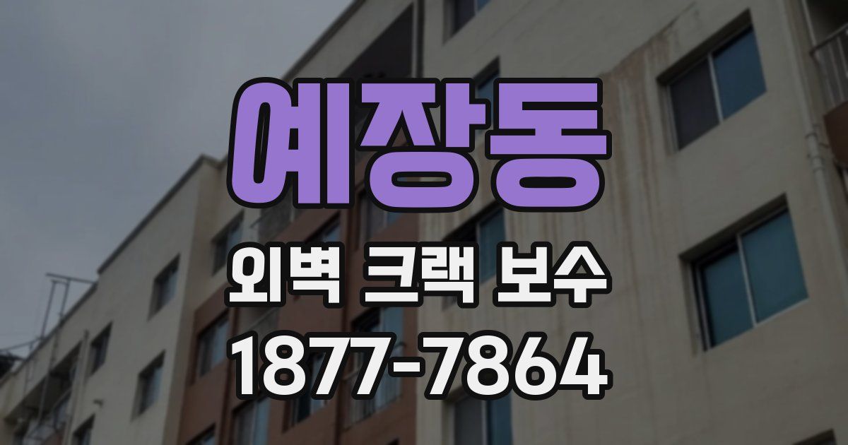 예장동 외벽 크랙 보수