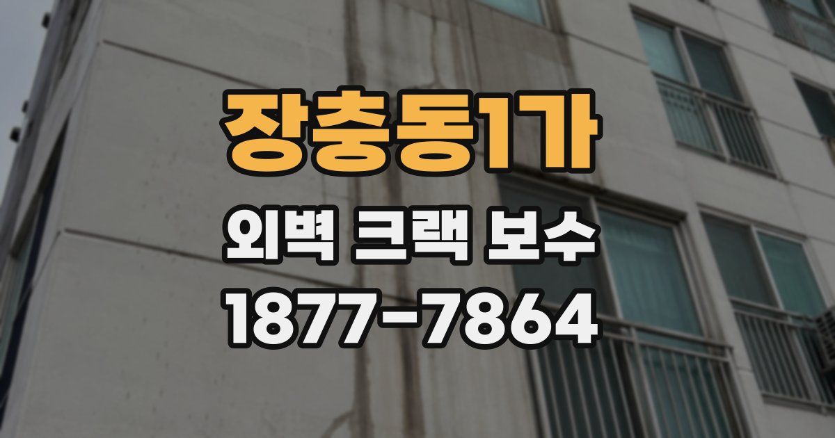 장충동1가 외벽 크랙 보수