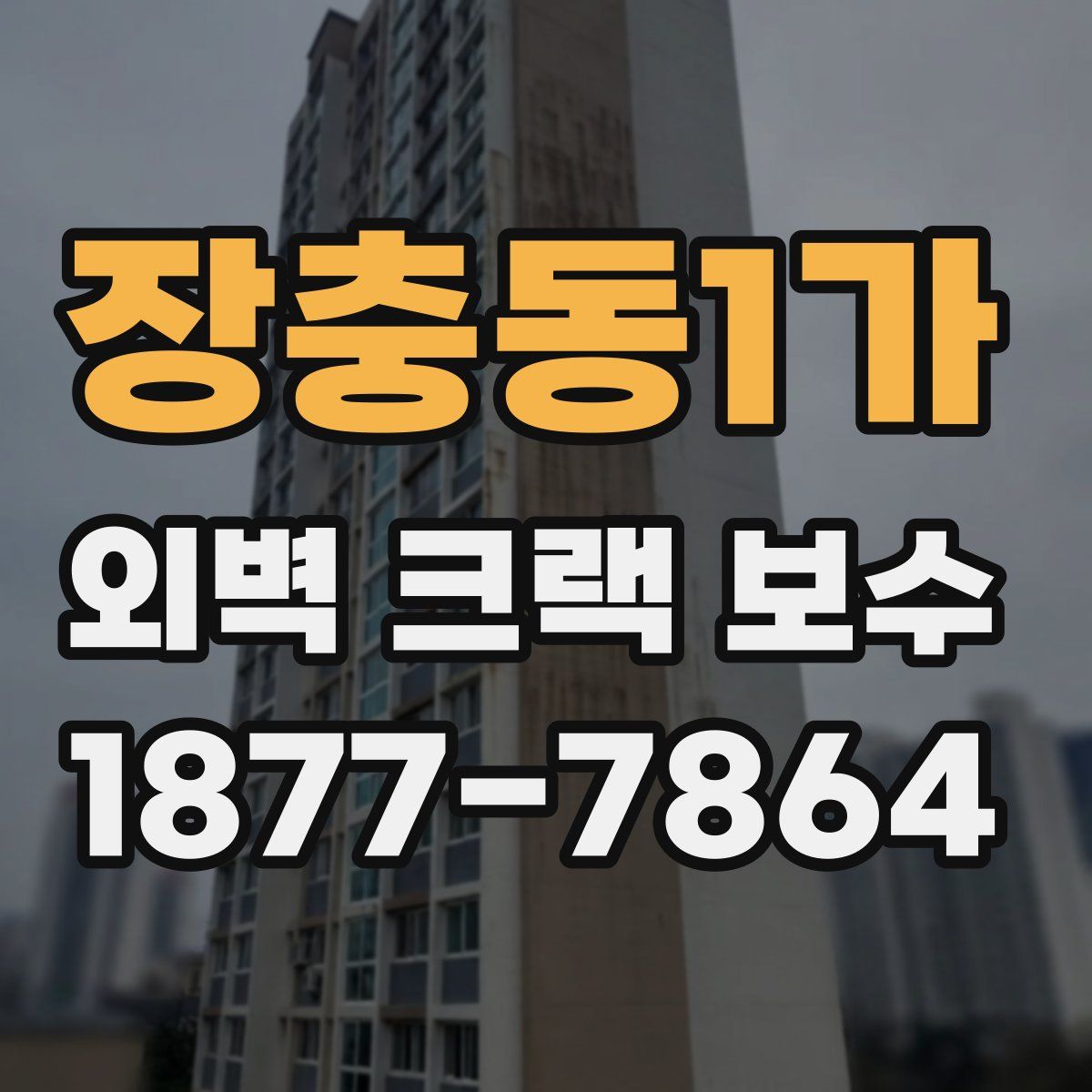 장충동1가 외벽 크랙 보수