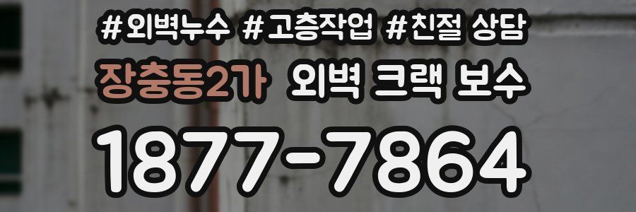 장충동2가 외벽 크랙 보수