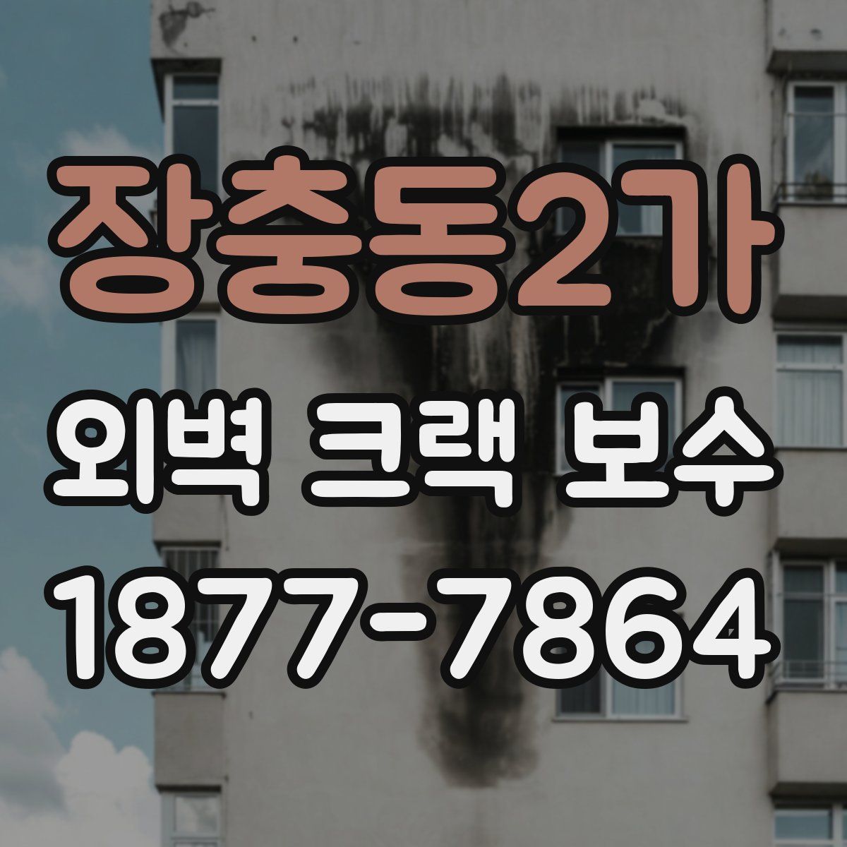 장충동2가 외벽 크랙 보수
