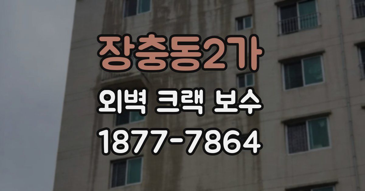 장충동2가 외벽 크랙 보수