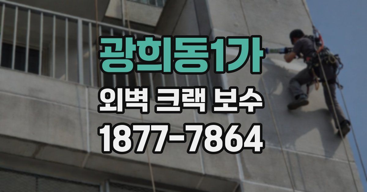 광희동1가 외벽 크랙 보수