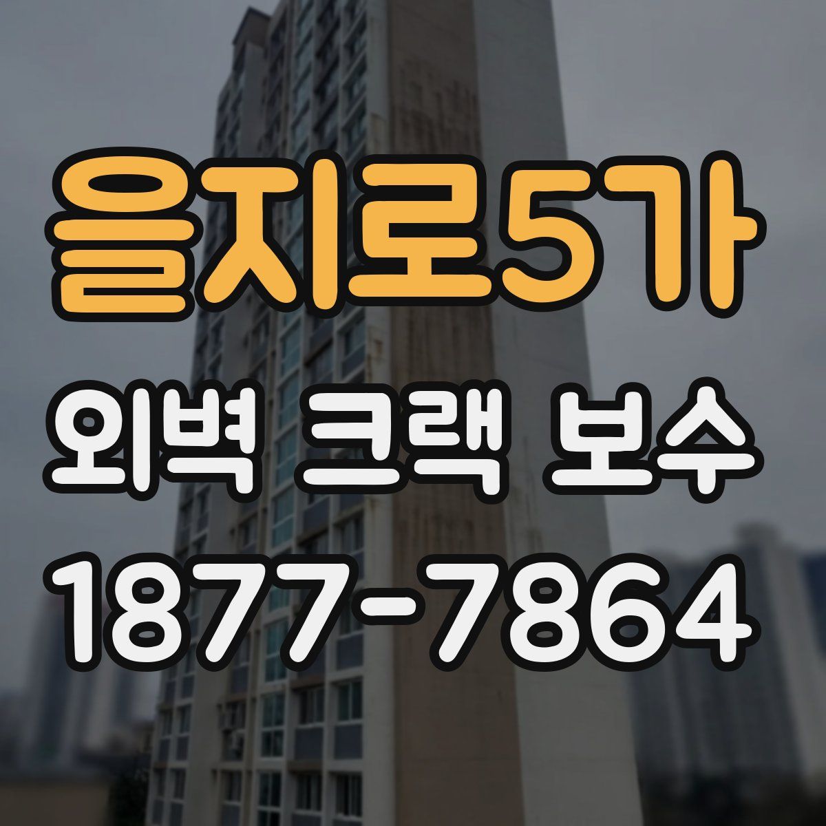 을지로5가 외벽 크랙 보수