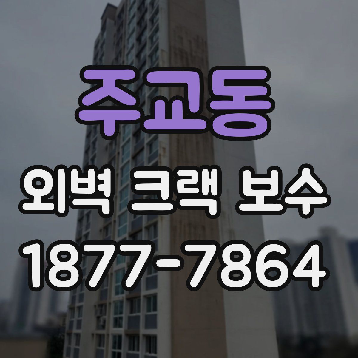 주교동 외벽 크랙 보수