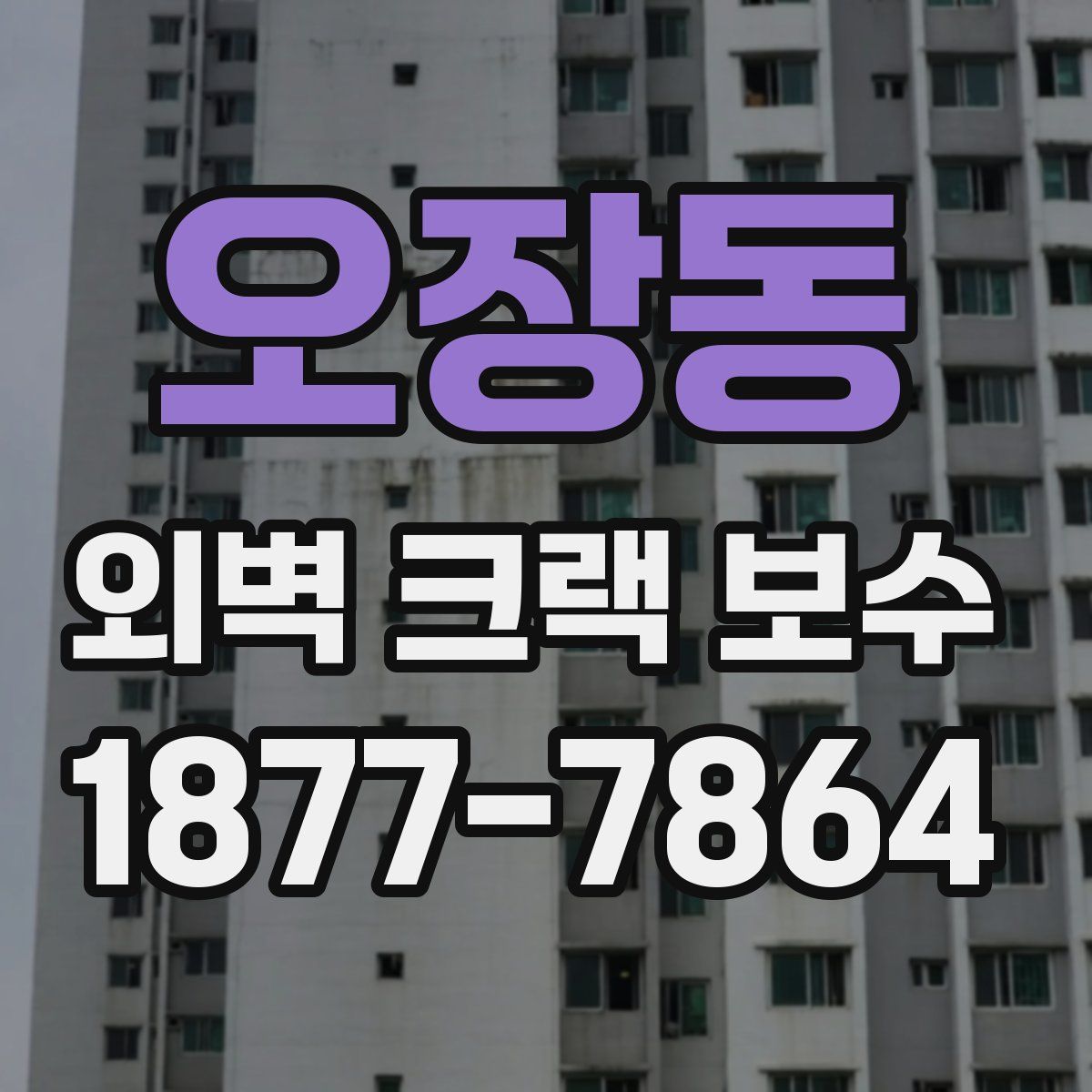 오장동 외벽 크랙 보수