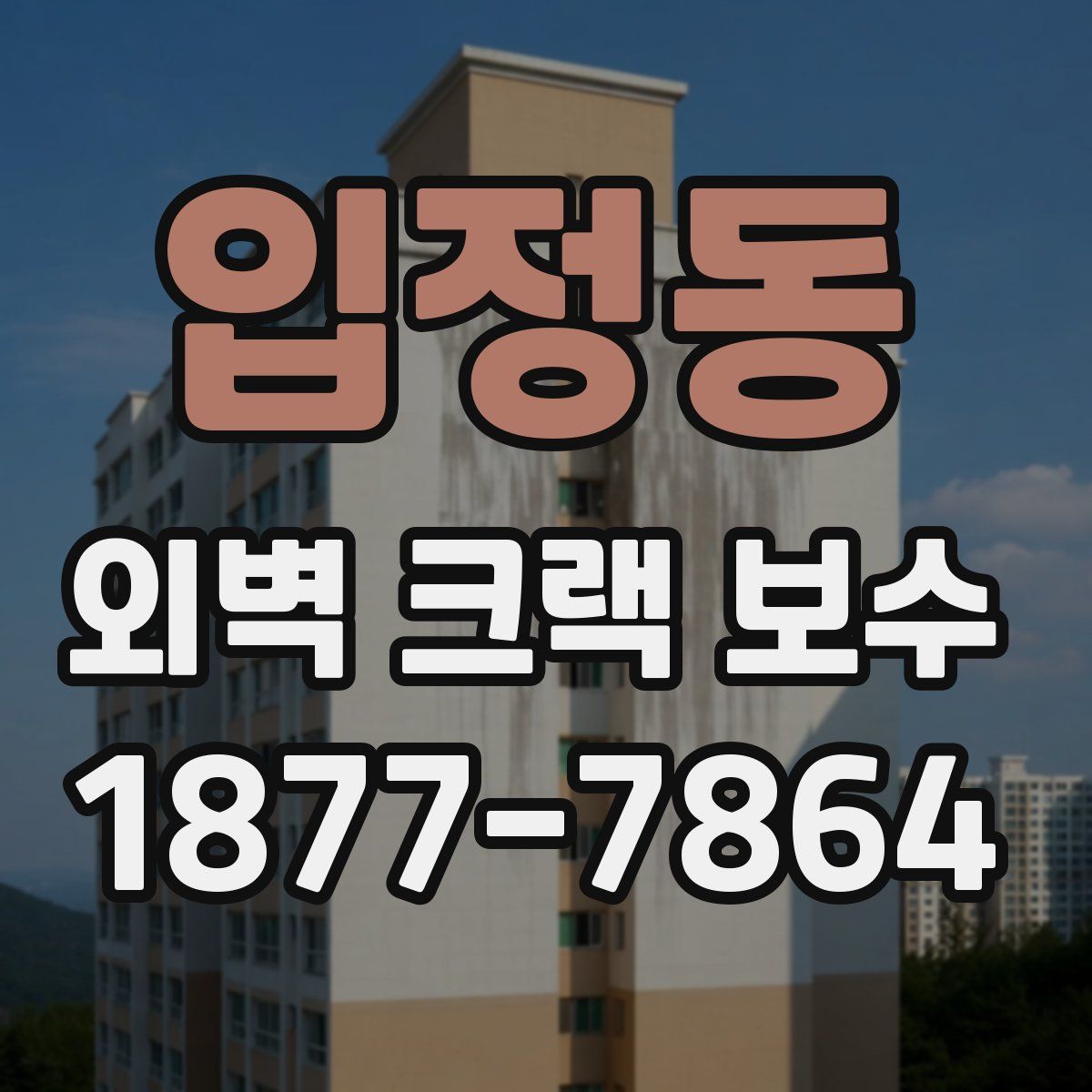 입정동 외벽 크랙 보수