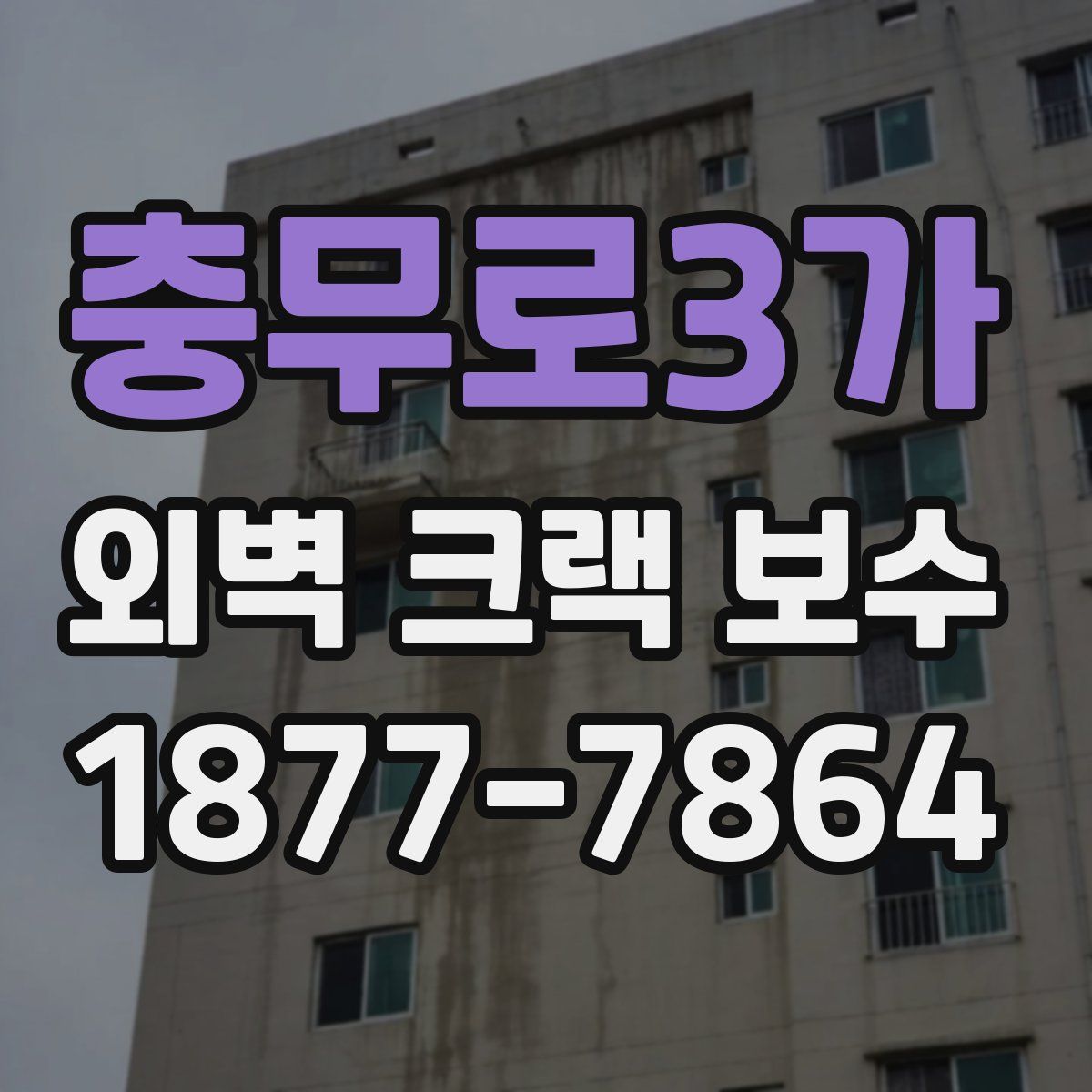 충무로3가 외벽 크랙 보수