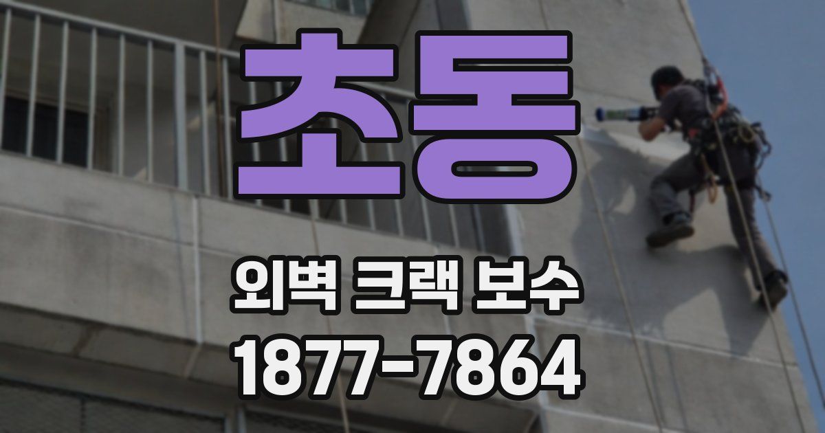 초동 외벽 크랙 보수