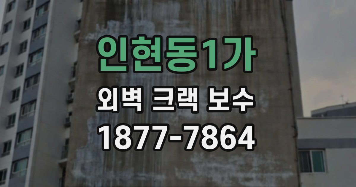 인현동1가 외벽 크랙 보수