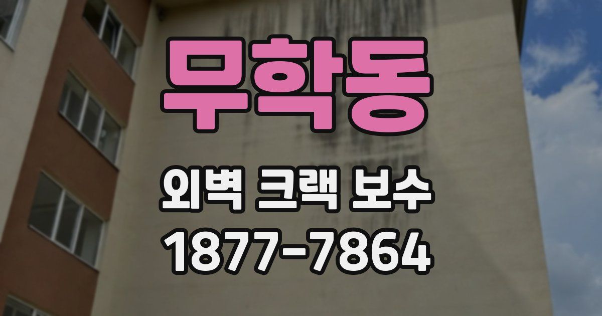 무학동 외벽 크랙 보수