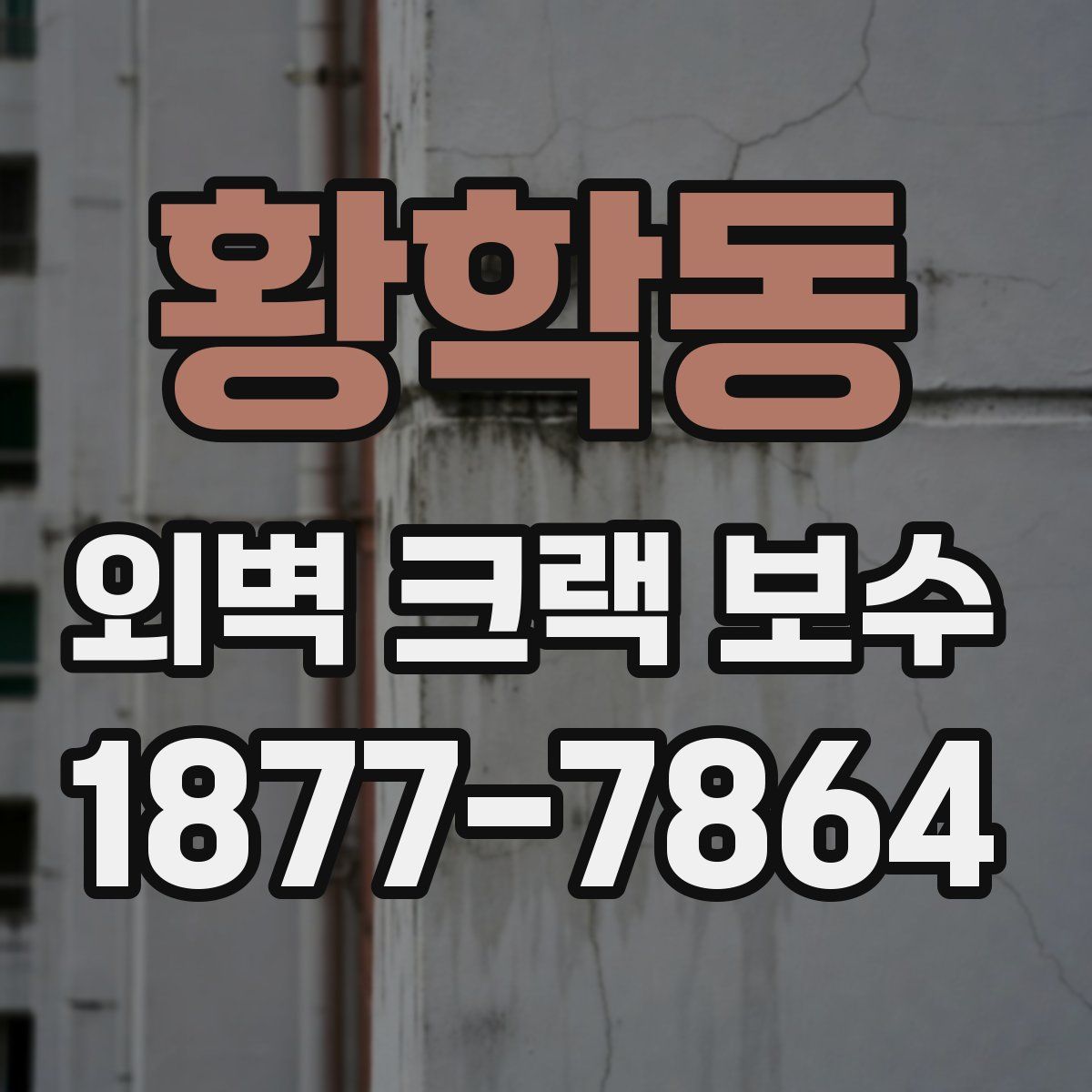 황학동 외벽 크랙 보수