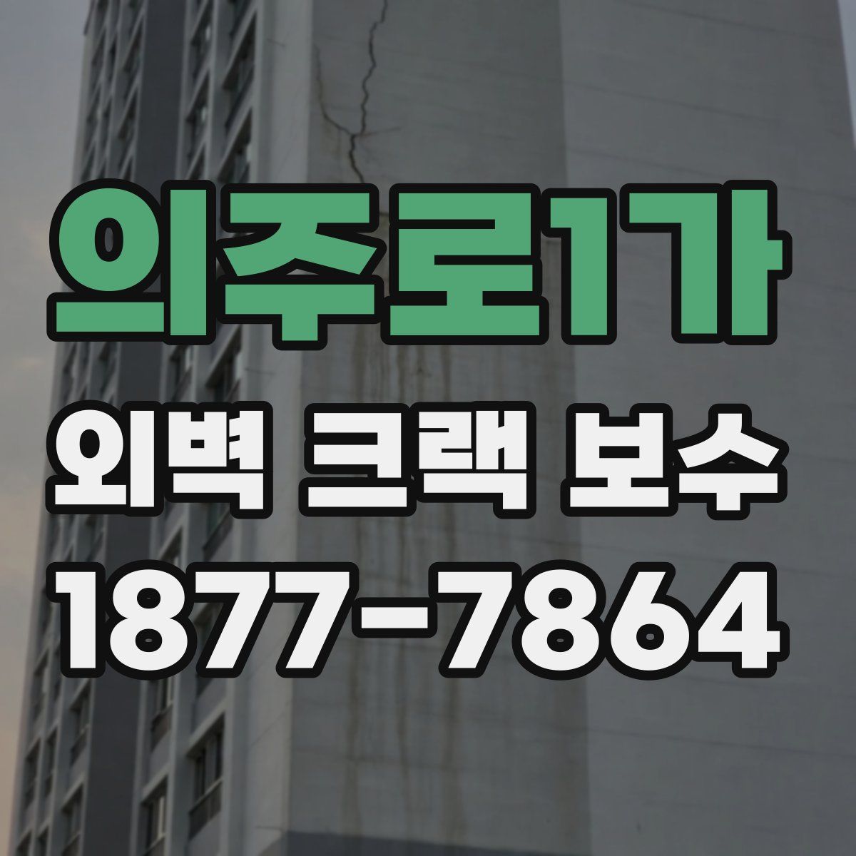 의주로1가 외벽 크랙 보수