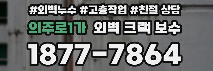 의주로1가 외벽 크랙 보수