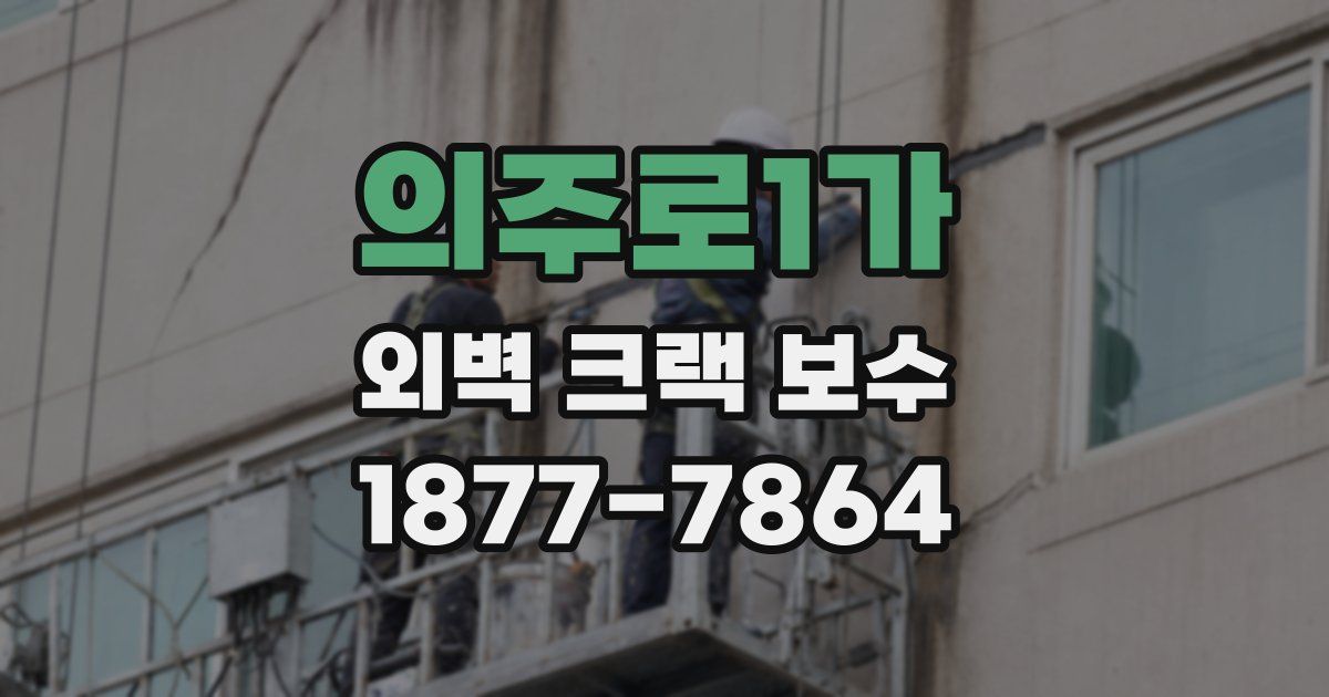 의주로1가 외벽 크랙 보수