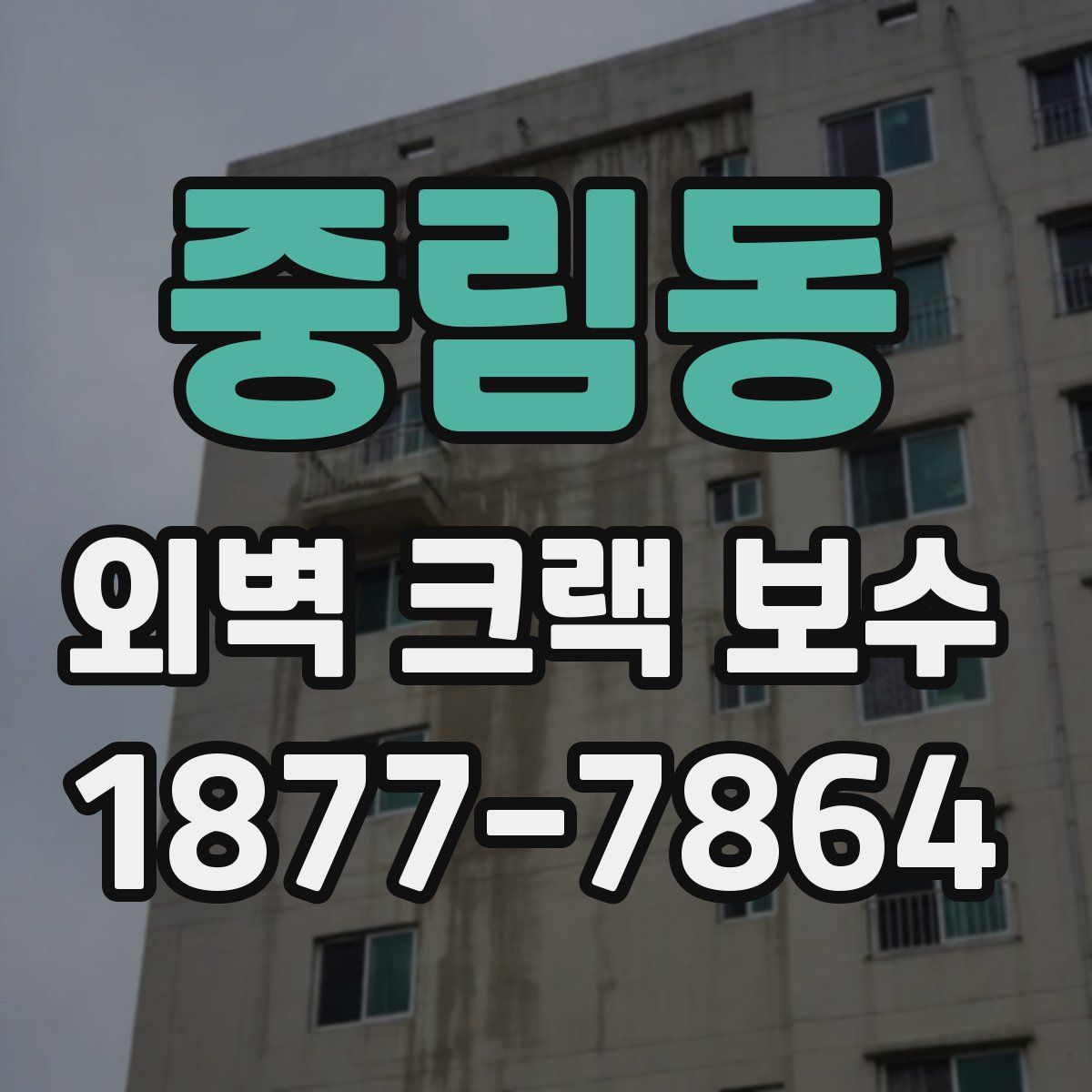 중림동 외벽 크랙 보수