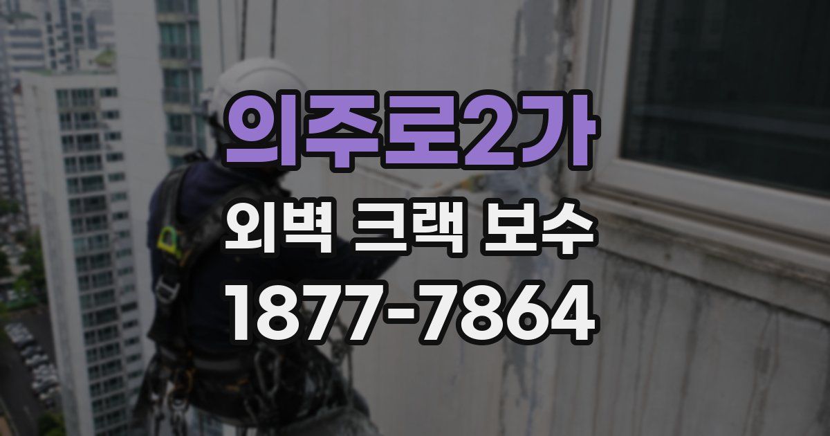 의주로2가 외벽 크랙 보수