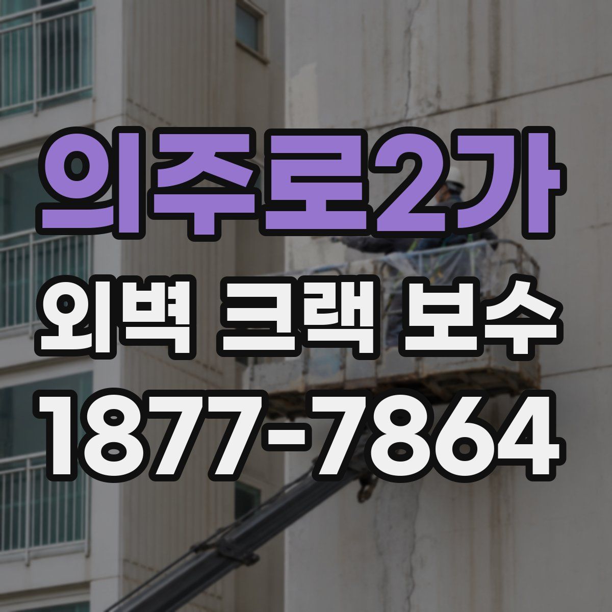 의주로2가 외벽 크랙 보수