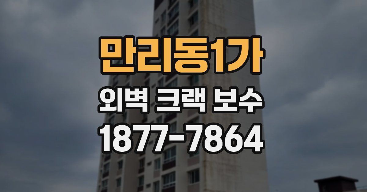 만리동1가 외벽 크랙 보수