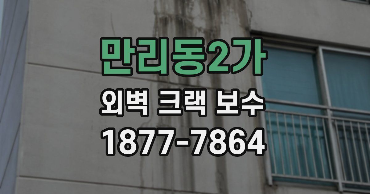 만리동2가 외벽 크랙 보수