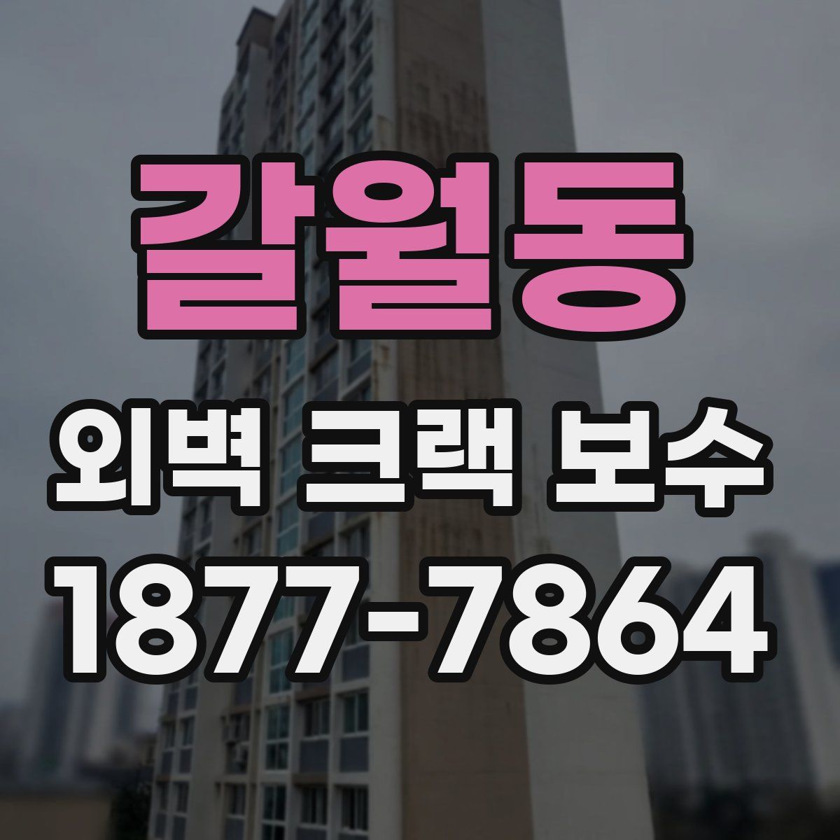 갈월동 외벽 크랙 보수