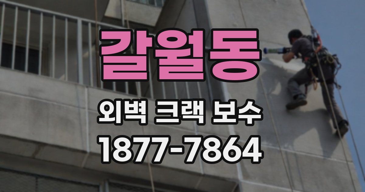 갈월동 외벽 크랙 보수
