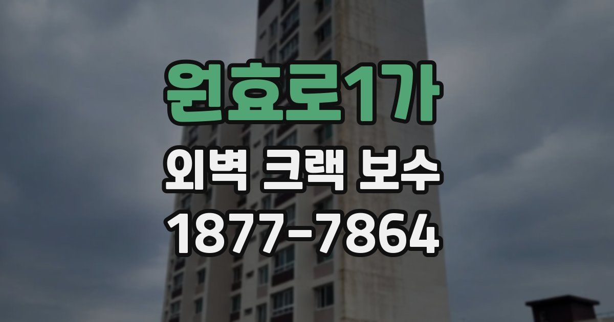 원효로1가 외벽 크랙 보수