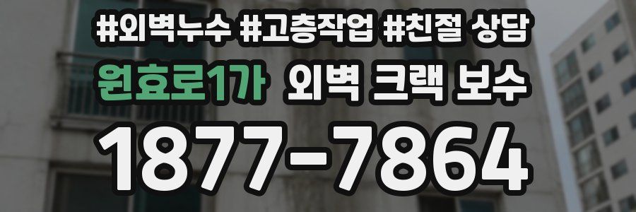 원효로1가 외벽 크랙 보수