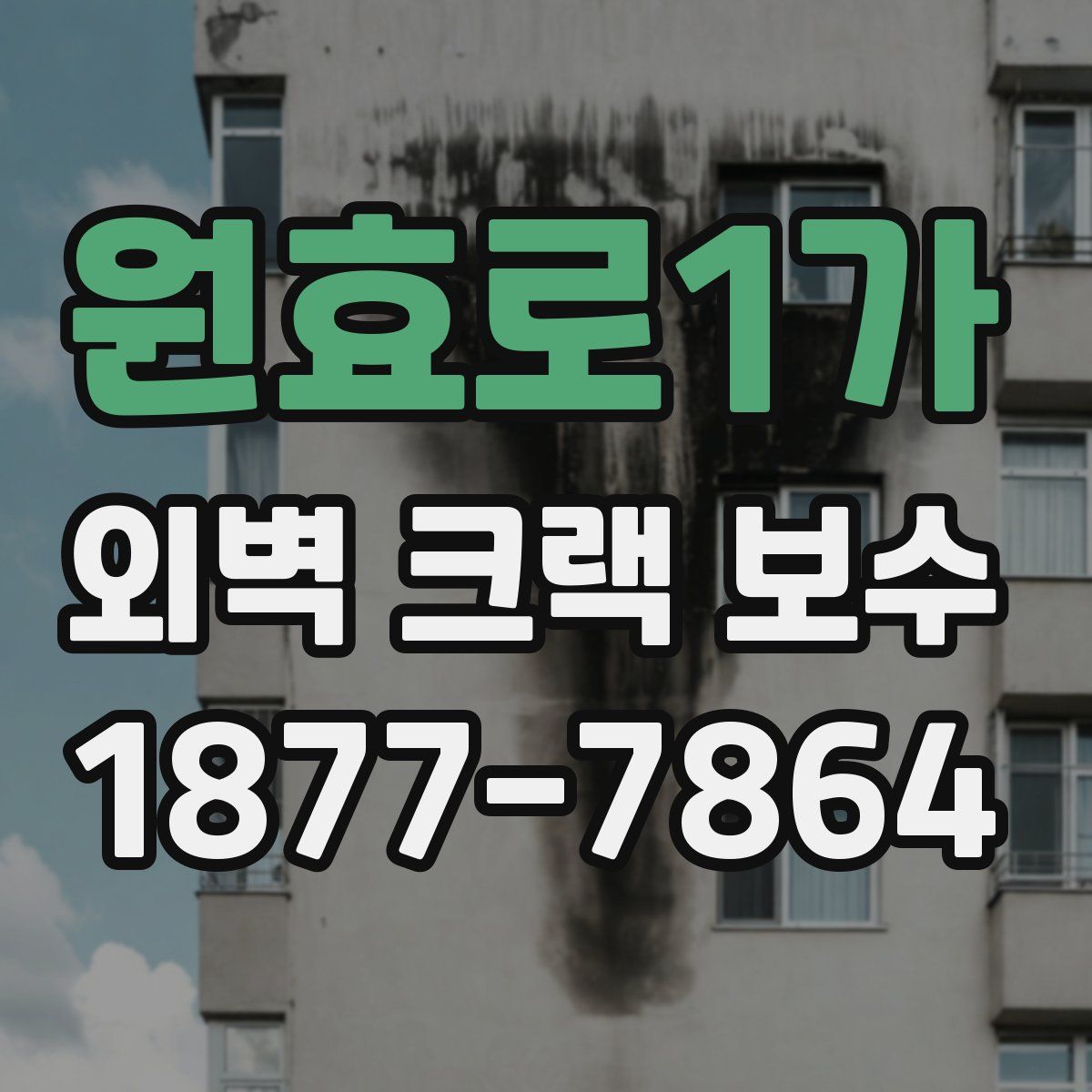 원효로1가 외벽 크랙 보수