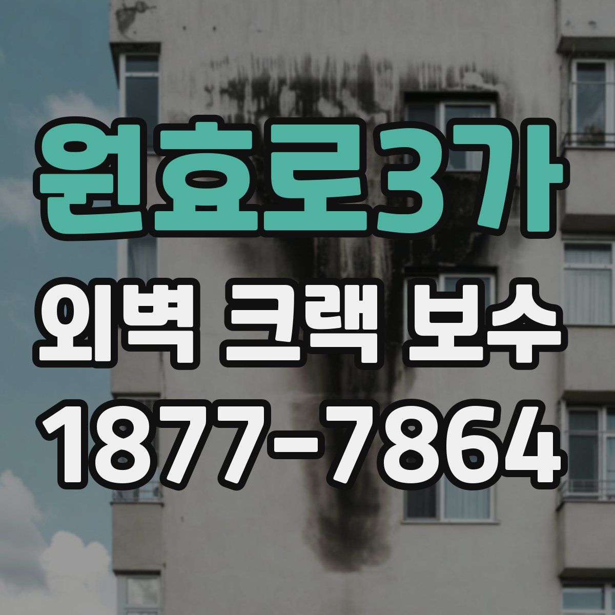 원효로3가 외벽 크랙 보수