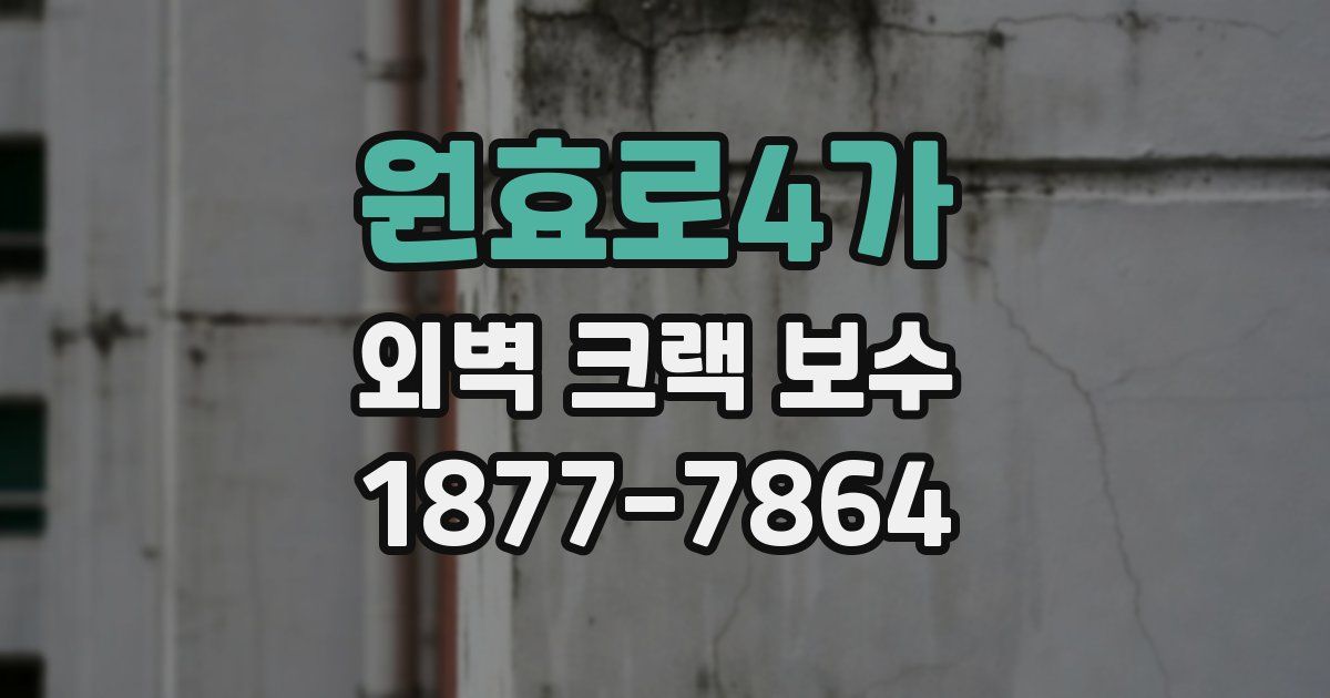 원효로4가 외벽 크랙 보수