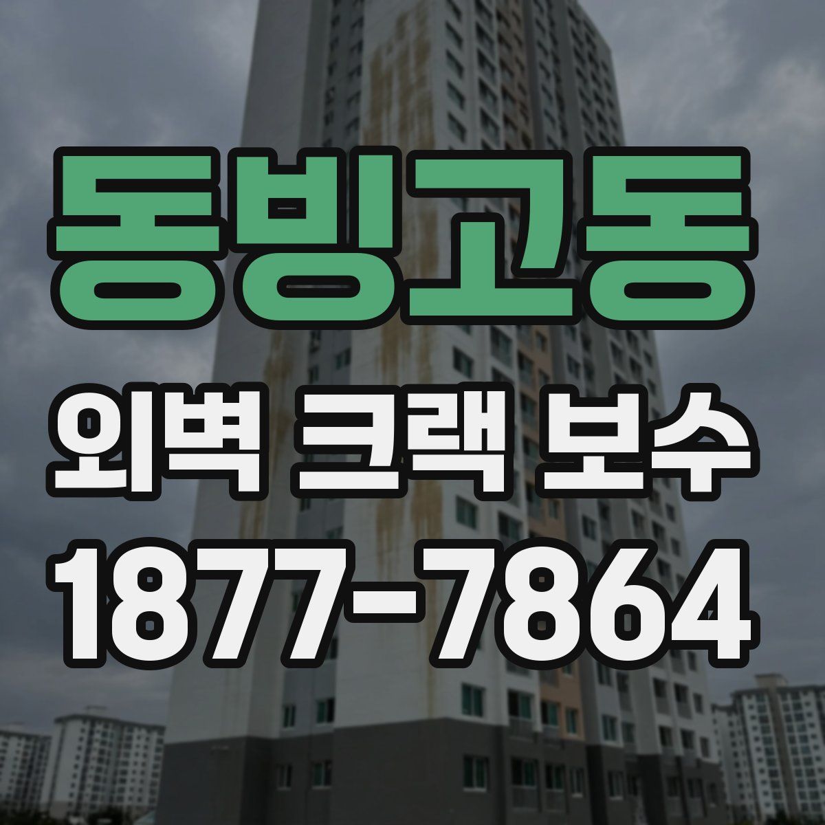 동빙고동 외벽 크랙 보수