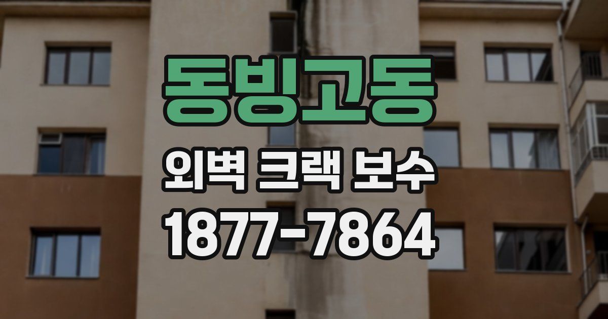 동빙고동 외벽 크랙 보수