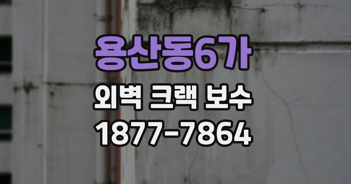 용산동6가 외벽 크랙 보수