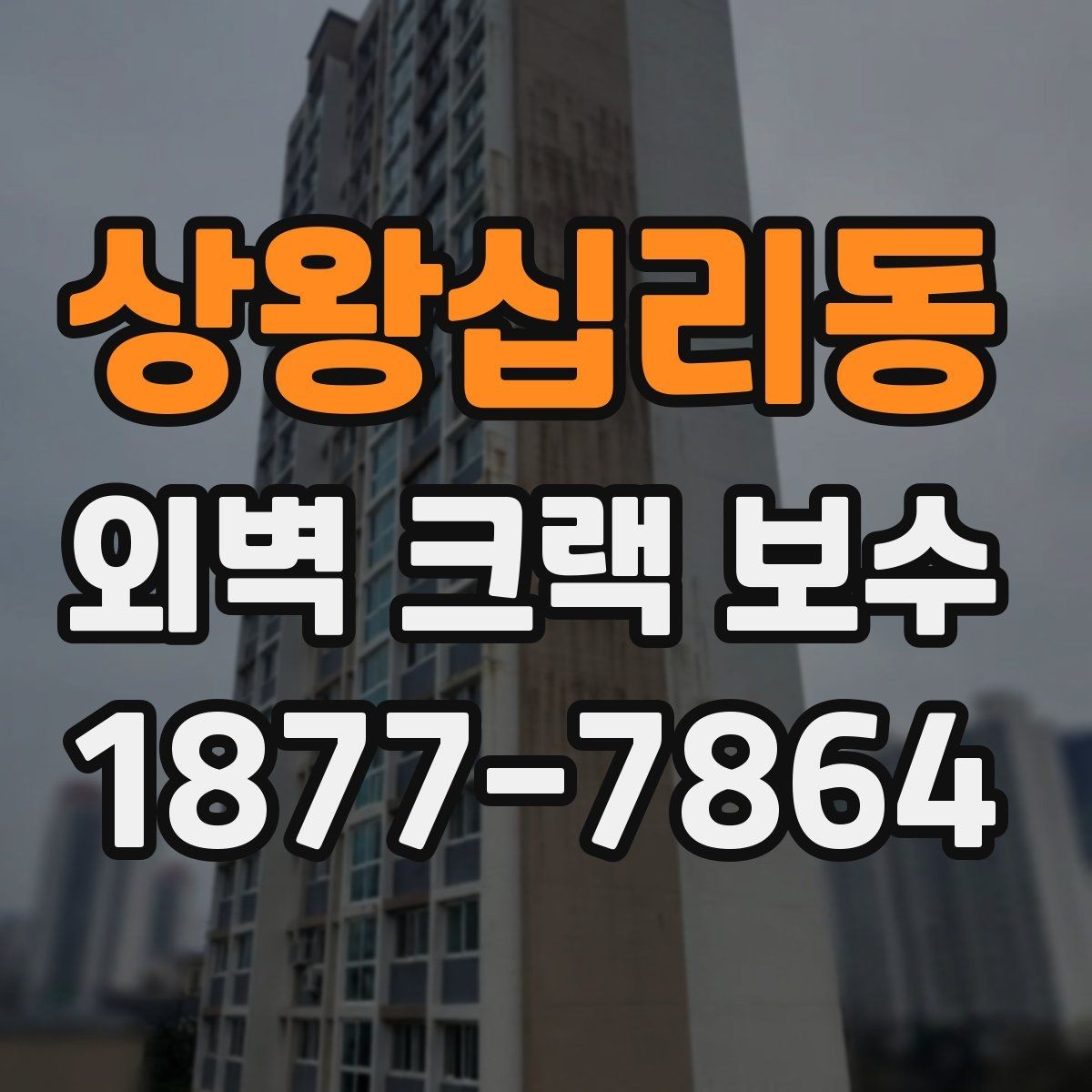 상왕십리동 외벽 크랙 보수 전 확인해야 할 사항