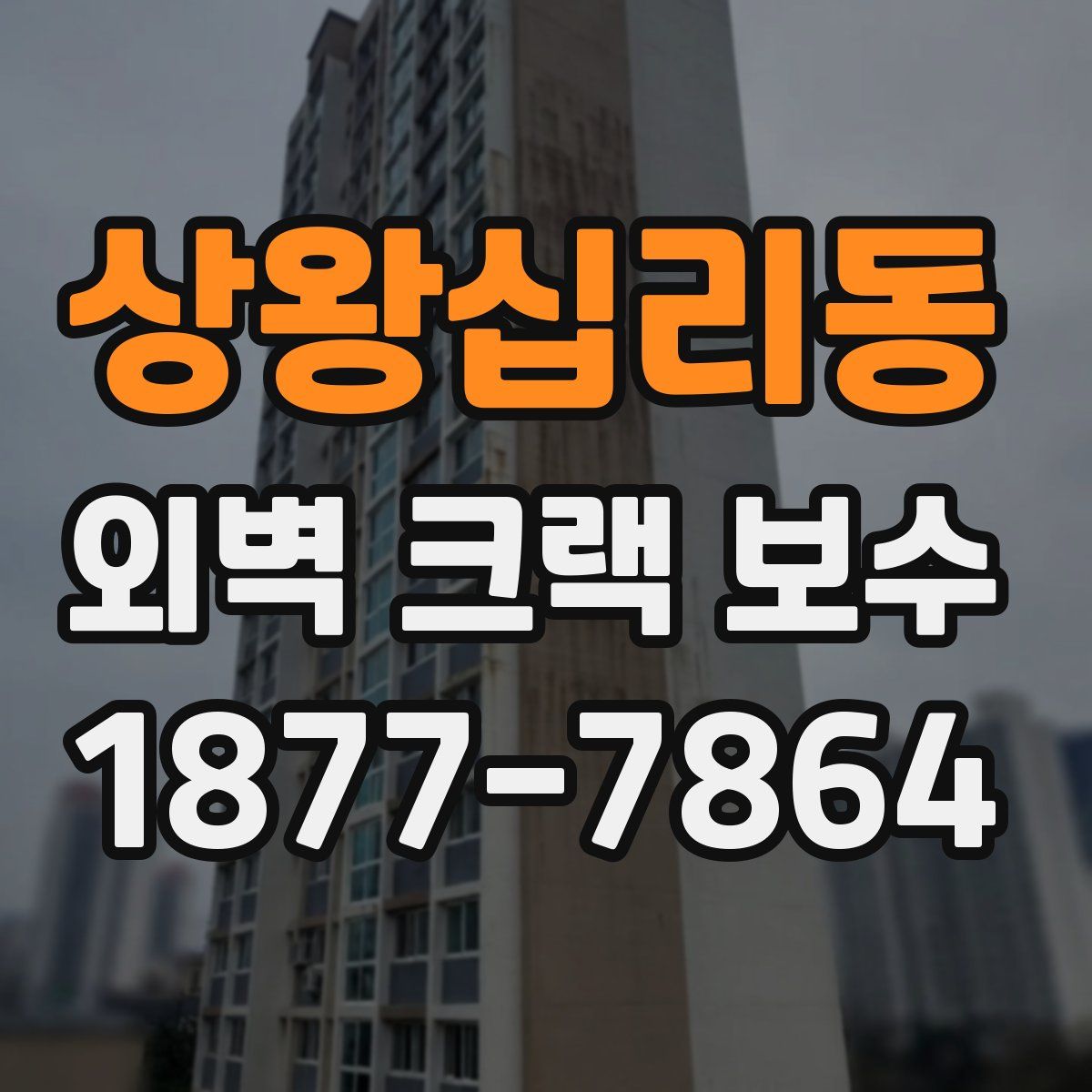 상왕십리동 외벽 크랙 보수
