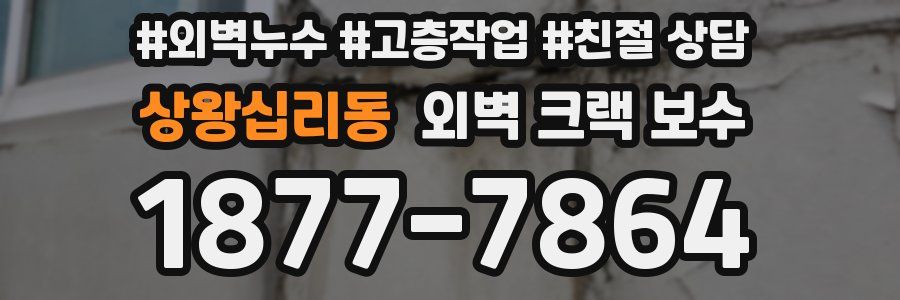 상왕십리동 외벽 크랙 보수