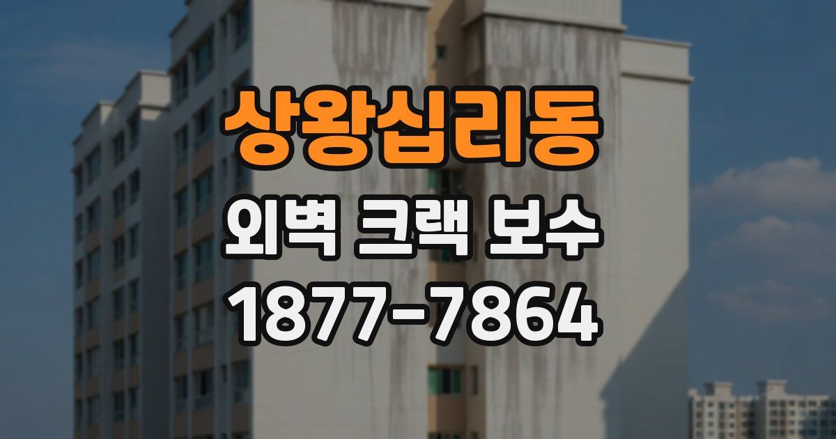 상왕십리동 외벽 크랙 보수