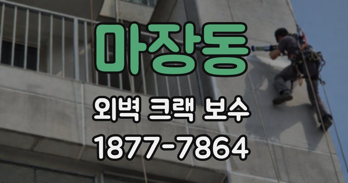 마장동 외벽 크랙 보수